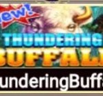 Thundering Buffalo