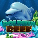 Dolphin reef