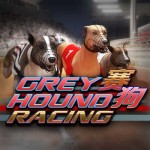 Grey Hound Racing