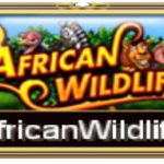 African Wild Life