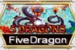 Five dragon