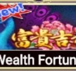 Wealth Fortune