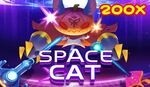 Space Cat