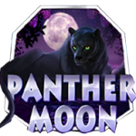 Panther Moon