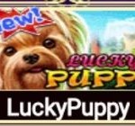 LuckyPuppy