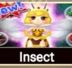 Insect