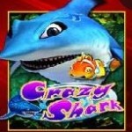 Crazy Shark