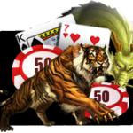 Dragon Tiger