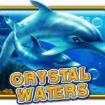 Crystal Waters