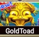 GoldToad