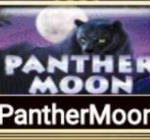 Panther Moon