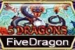 Five Dragon